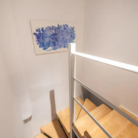 Blue & White Velvet 20m From The