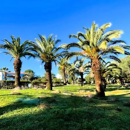 Blue & White Velvet 20m From The דירה