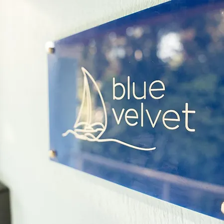 Blue & White Velvet 20m From The