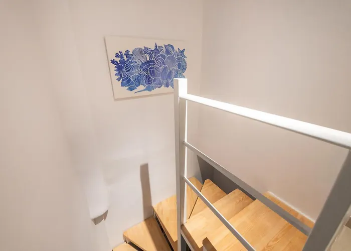 Blue & White Velvet 20m From The