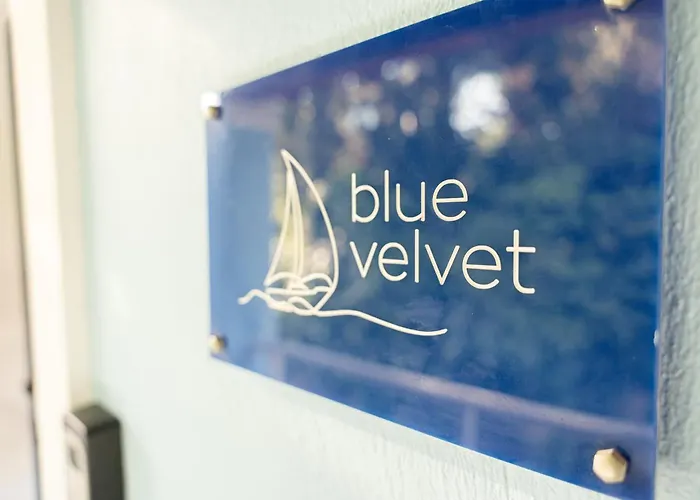Blue & White Velvet 20m From The